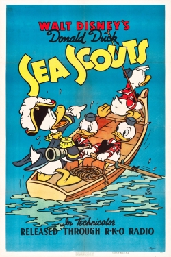 Sea Scouts